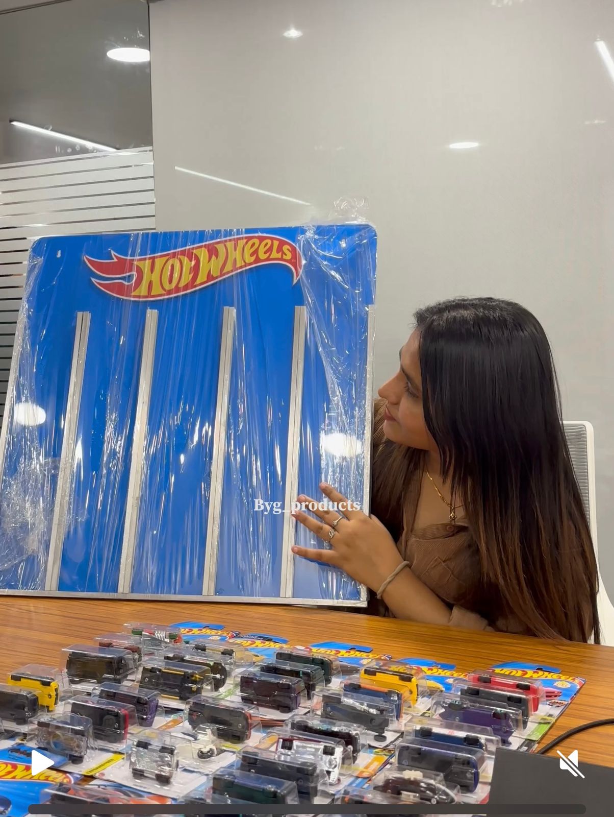 Hotwheels Wall mount Card Holder ( 40 mainlines - 8 premiums )